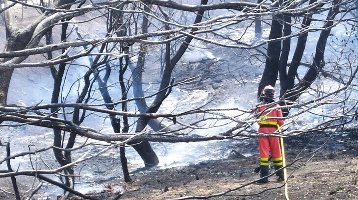 Incendio Casas De Mira 1