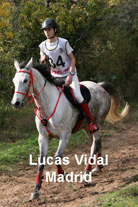 Lucas Vidal Madrid