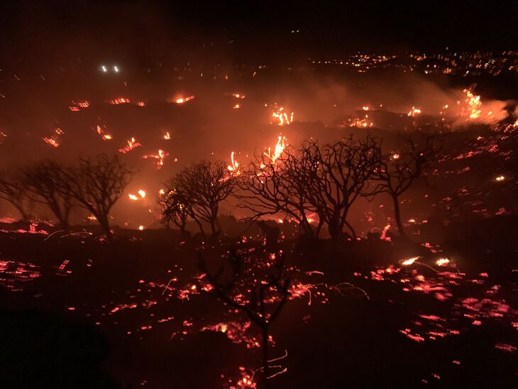 Fuego De La Palma (1)